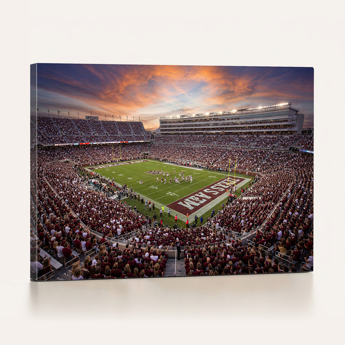 66624578-MGV-CV-36X24 - Stadium Wall Art Canvas Print