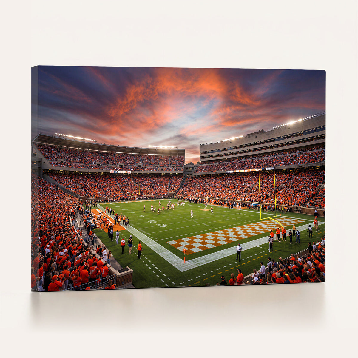 67648335-MGV-CV-36X24 - Stadium Wall Art Canvas Print