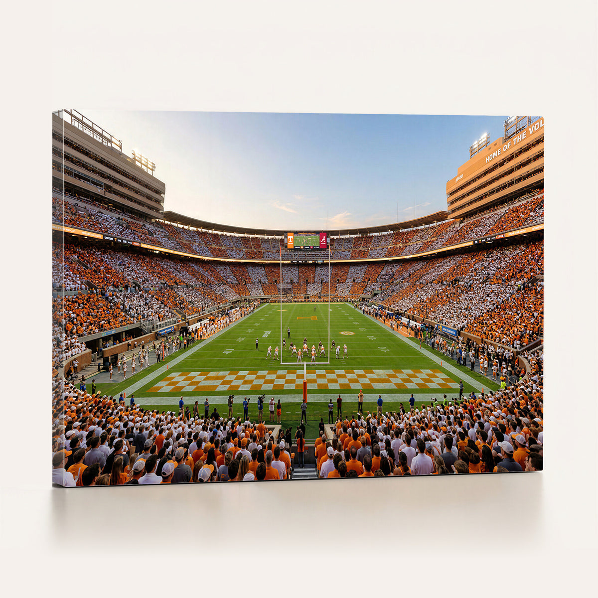 74509135-MGV-CV-36X24 - Stadium Wall Art Canvas Print