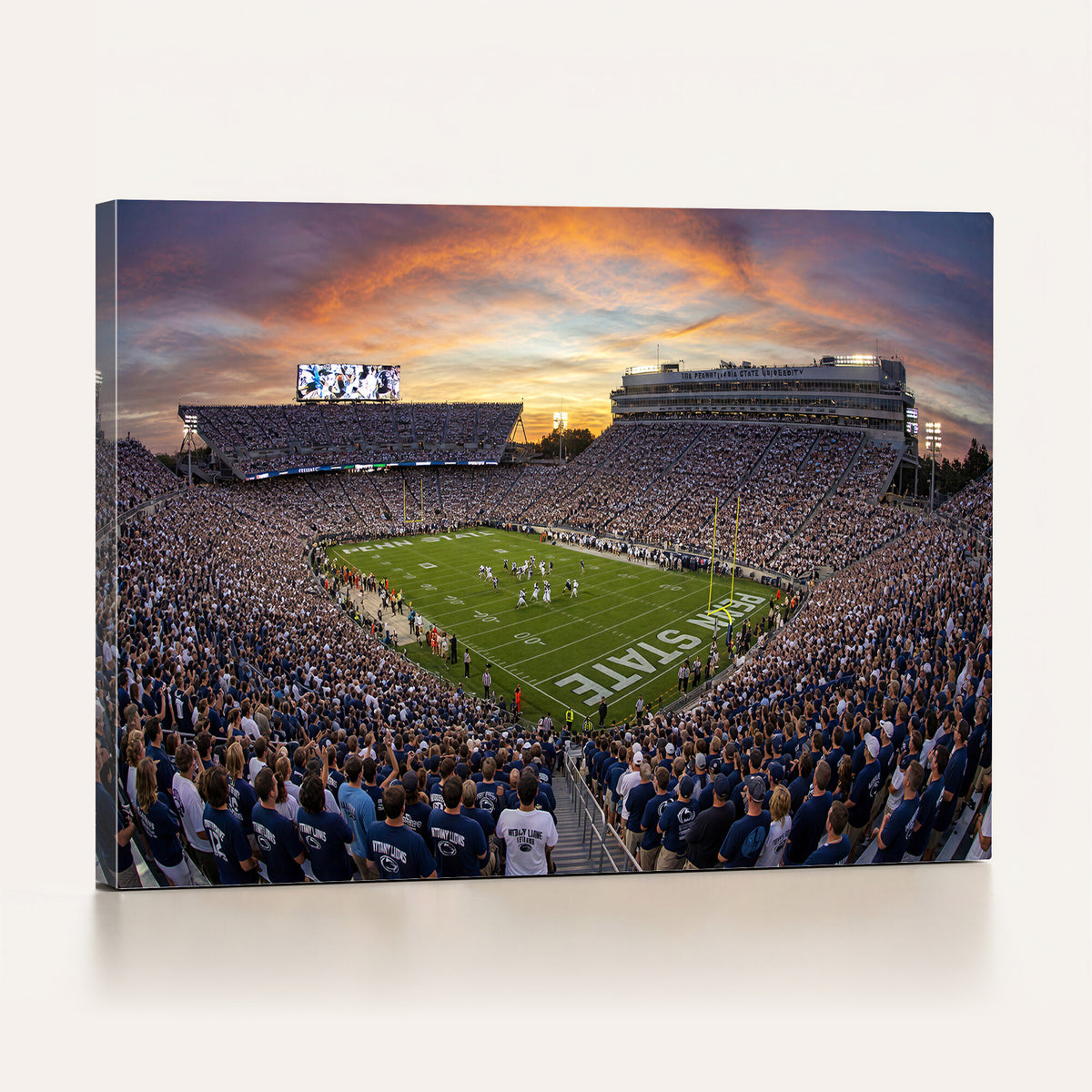 29008668-MGV-CV-36X24 - Stadium Wall Art Canvas Print