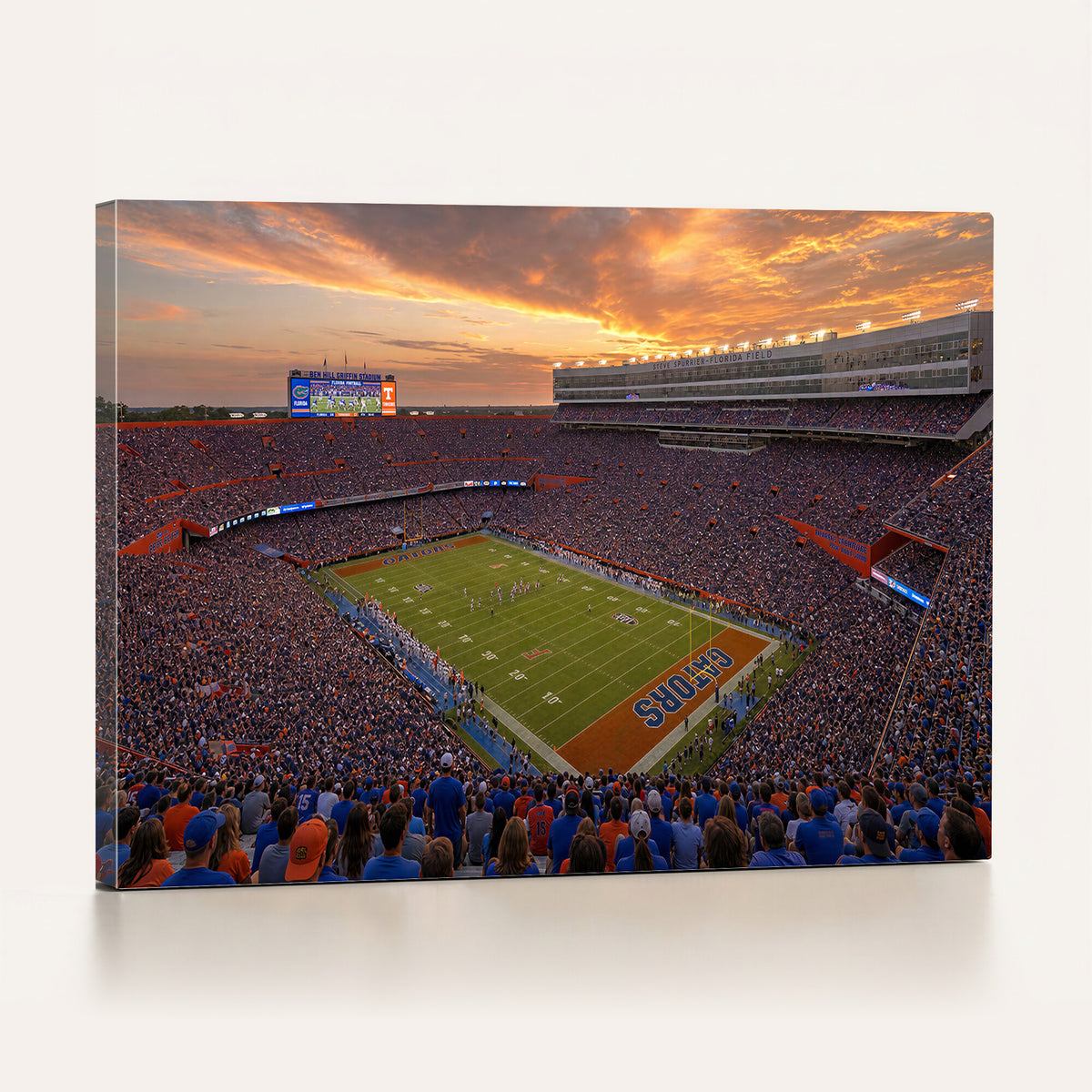 48009171-MGV-CV-36X24 - Stadium Wall Art Canvas Print