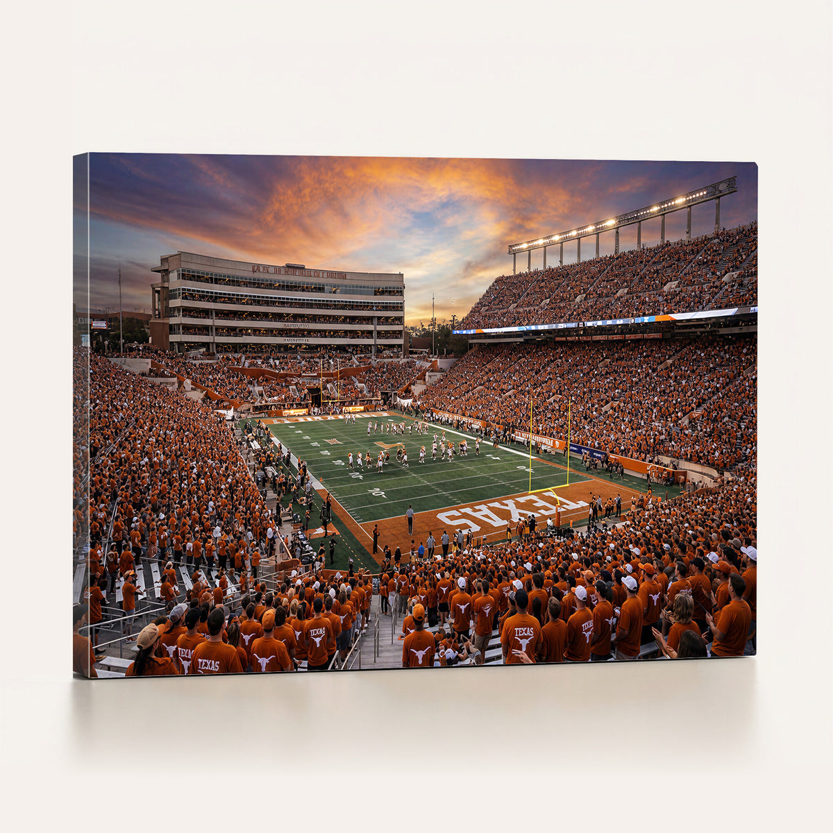 23560699-MGV-CV-36X24 - Stadium Wall Art Canvas Print