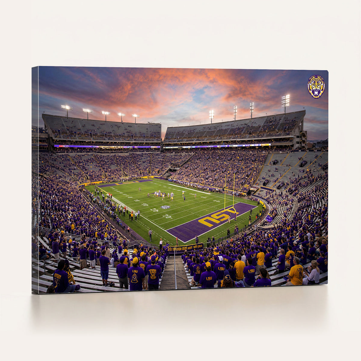 20281385-MGV-CV-36X24 - Stadium Wall Art Canvas Print