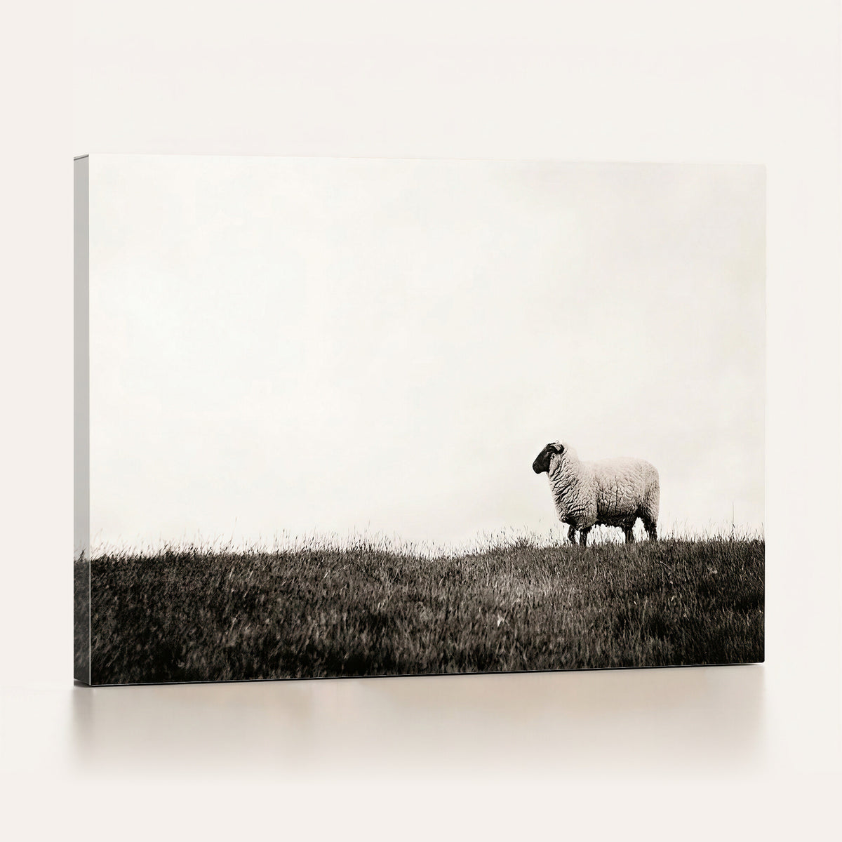 72749448-MGV-TP-30X20 - Minimalist Sepia Sheep Canvas Wall Art - Rustic Farmhouse Country Landscape Print