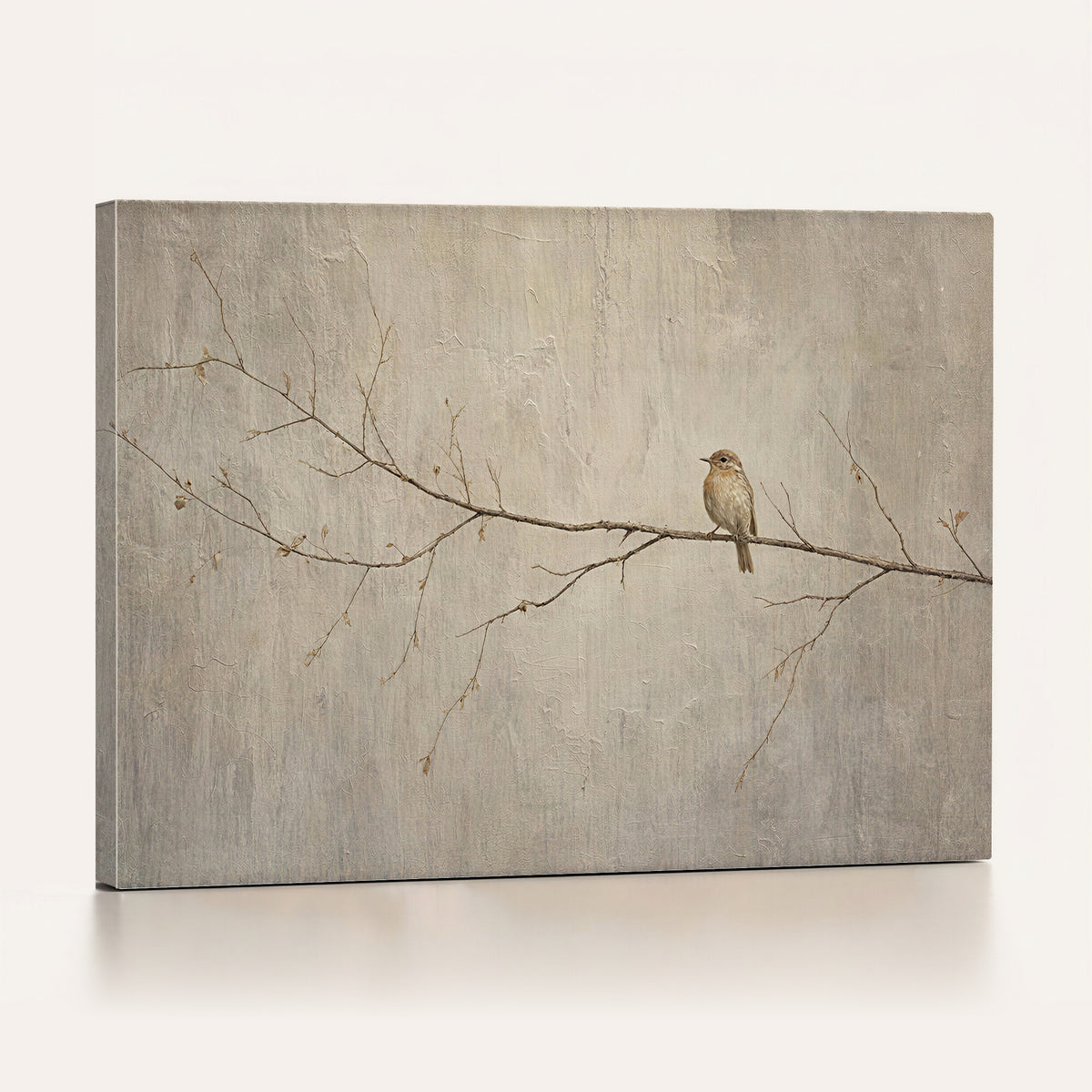 49708345-MGV-TP-30X20 - Wabi-Sabi Bird On Tree Branch Canvas Wall Art - Rustic Cottagecore Bedroom Living Room Print