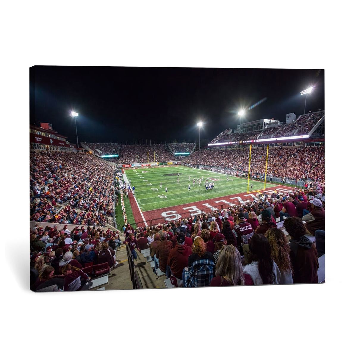 56191-MGV-CV-36X24 - Washington Grizzly Stadium American Football Wall Art Canvas Print, Sports Wall Art Print, Game Room Decor-1