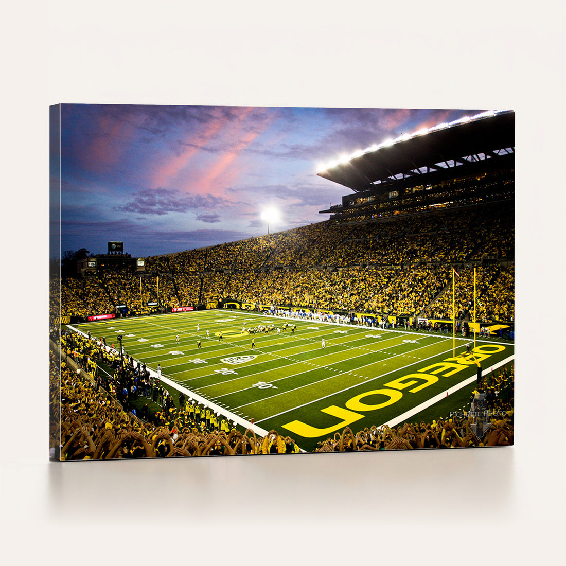 University of Oregon Ducks Football Team Print, Eugene, Framed and Ready to Hang