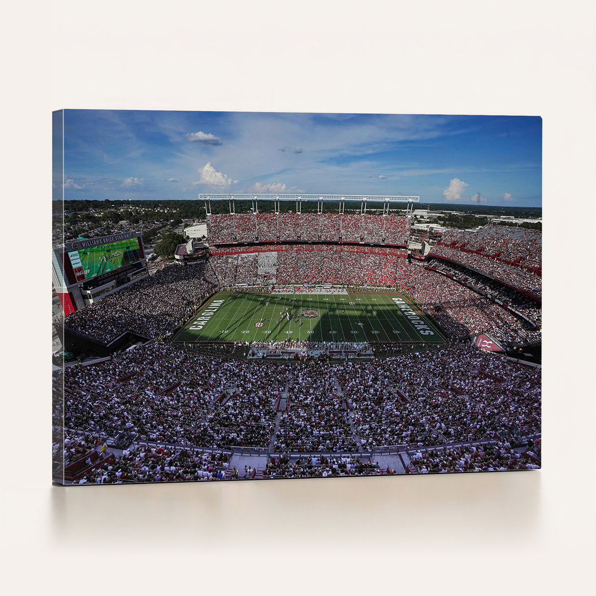 83382-MGV-CV-36X24 - South Carolina Gamecocks Football Team Print, Columbia Williams-Brice Stadium Wall Art