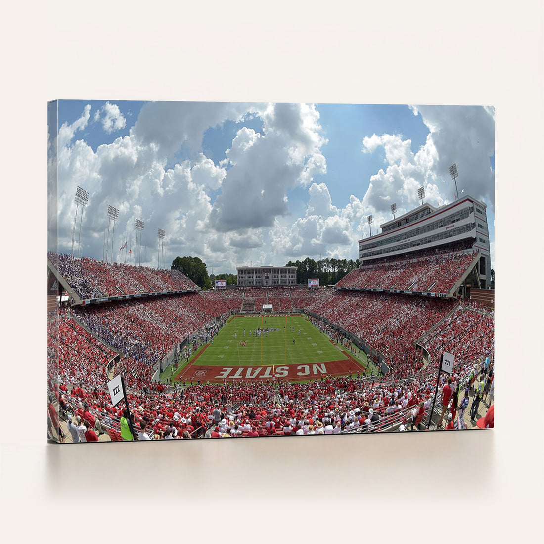 NC State Wolfpack Football Team Print Canvas, Raleigh