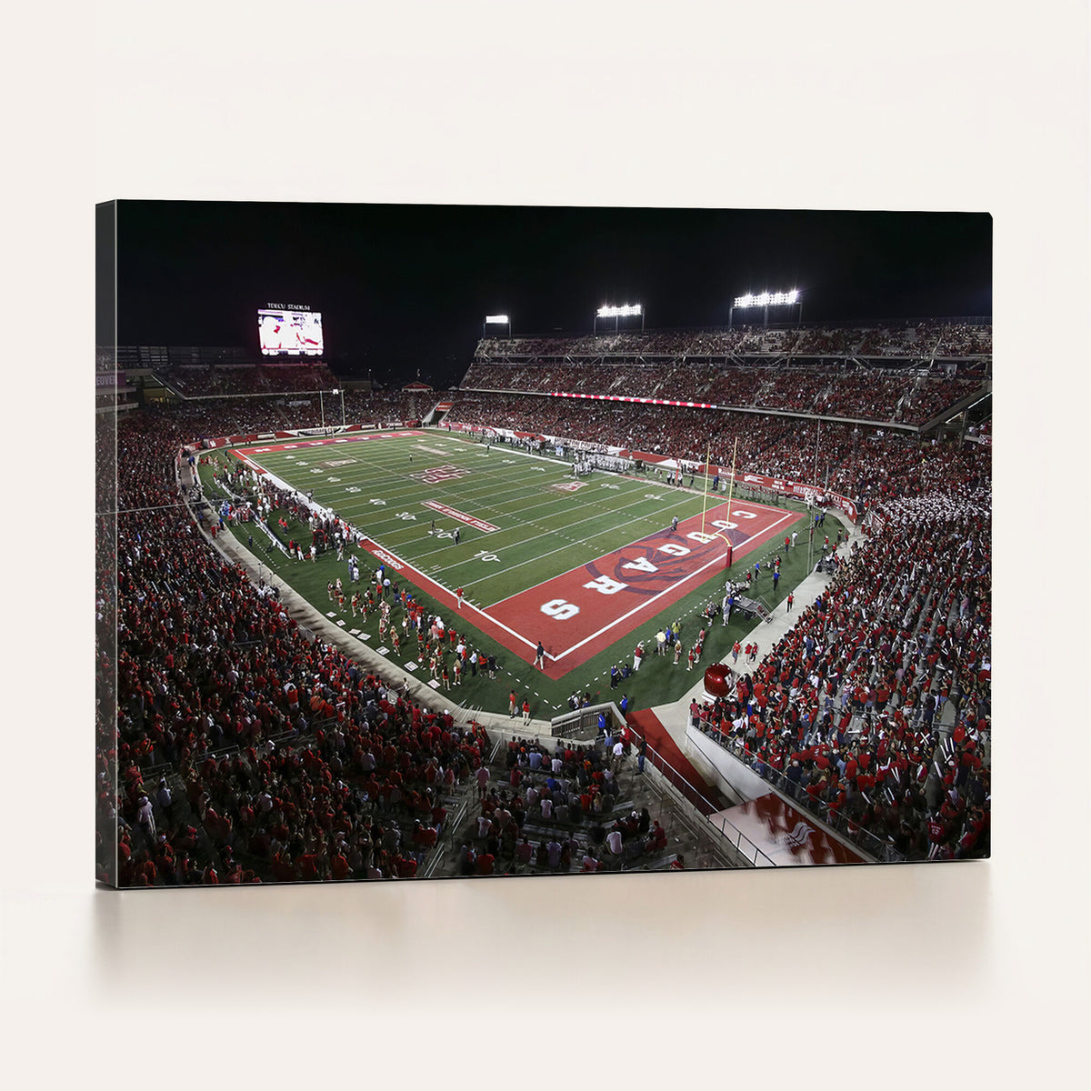 94207-MGV-CV-36X24 - Houston Cougars Football Team Print - Houston TDECU Stadium Wall Art Canvas Print