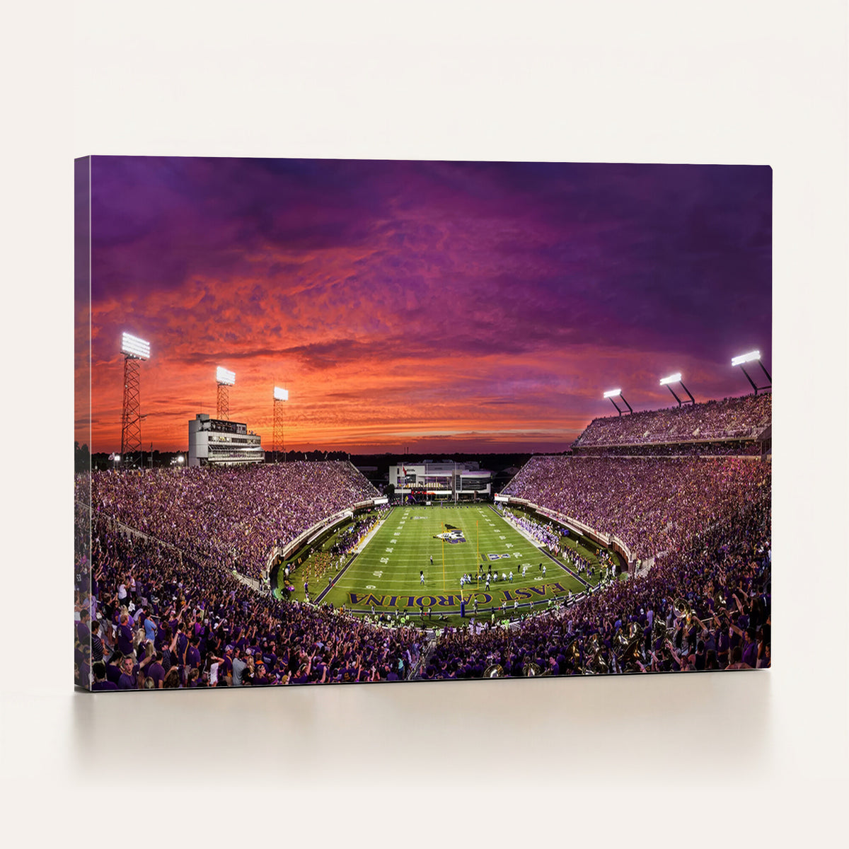 88575-MGV-CV-36X24 - East Carolina University Pirates Football Print Canvas- Greenville Dowdy-Ficklen Stadium Wall Art