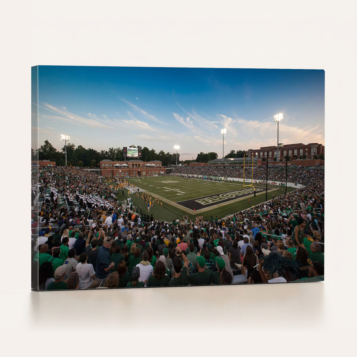 12290-MGV-CV-36X24 - University of Charlotte 49ers Football Team Print - Charlotte Jerry Richardson Stadium Wall Art