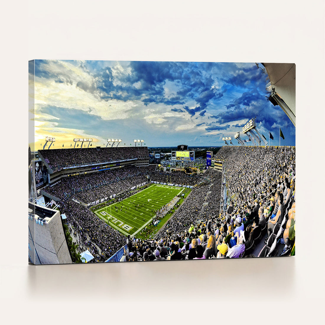 Framed USF Bulls Football Team Print, Tampa Raymond James Stadium