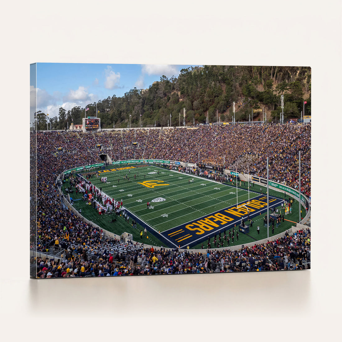 University of California Golden Bears Football Team Print