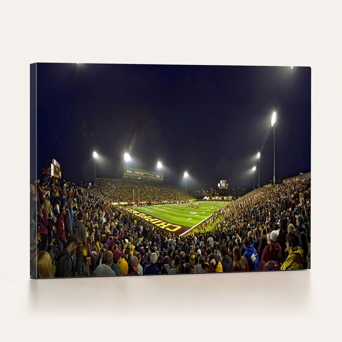 Central Michigan University Chippewas Canvas Wall Art