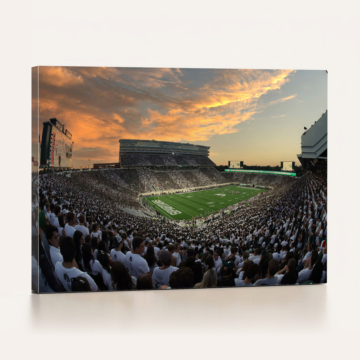 99155-PAN-FL-20X10 - Michigan State Spartans Football Team Print - East Lansing Spartan Stadium Wall Art Canvas Print