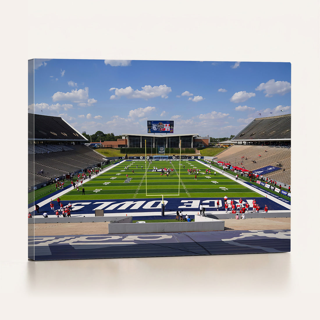Rice University Owls Football Team Print, Houston Rice Stadium