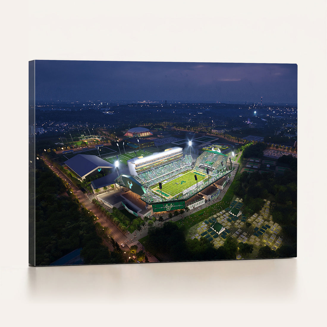 The University of South Florida Bulls Football Team Print