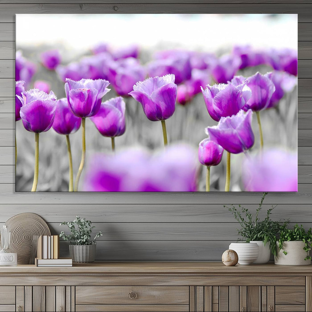 A gallery-wrapped Tulip Fields canvas wall art in a vivid purple hue.