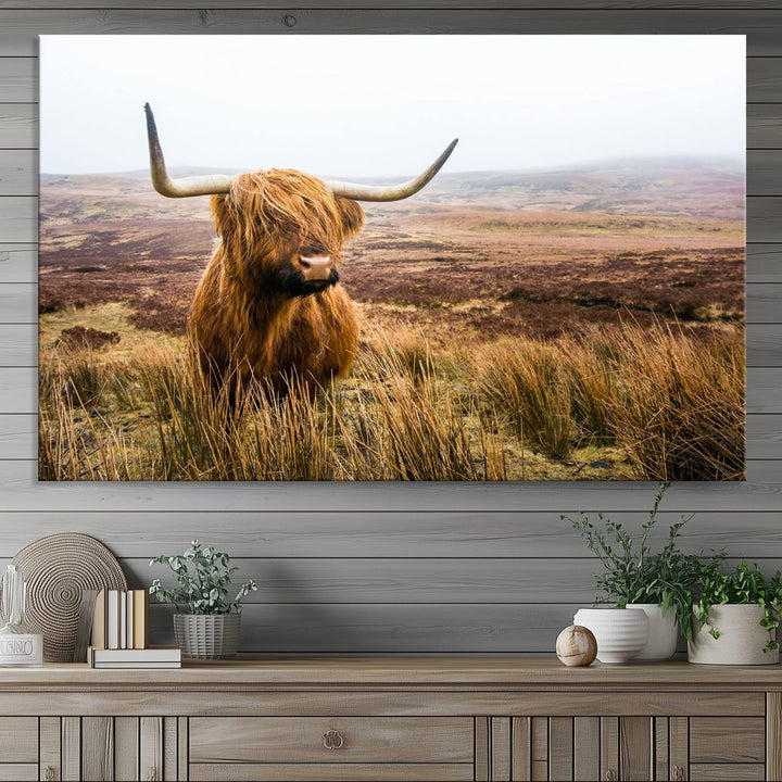 A ready-to-hang Scottish Highland Cow Cattle Canvas Wall Art.