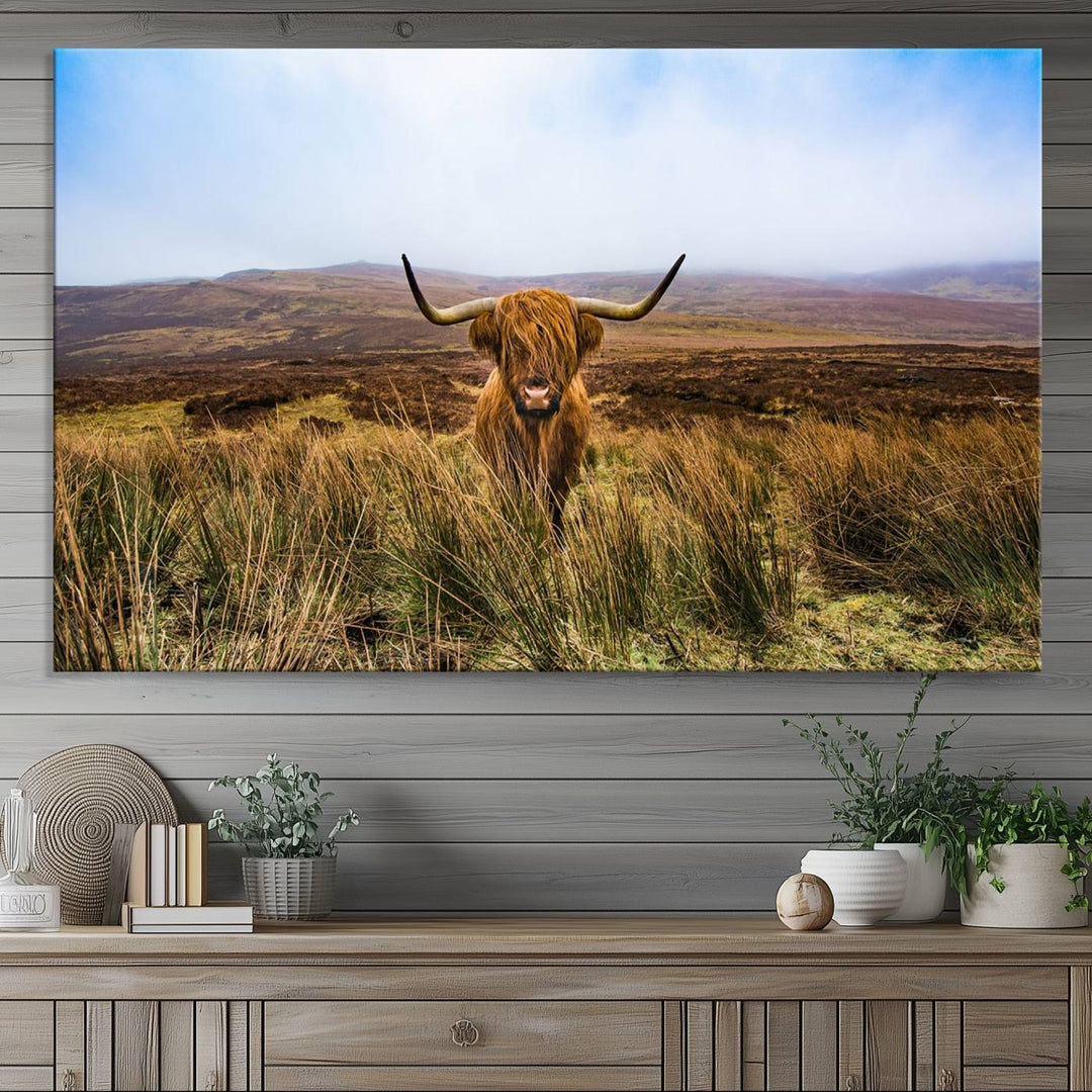 A Scottish Highland Cow art print canvas with UV-protection adorns the wall, preserving vivid details.