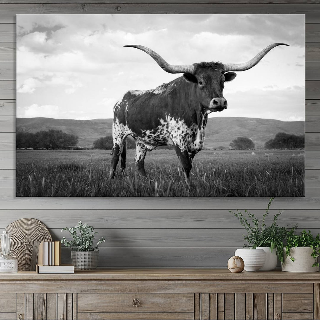 A Black and White Longhorn Texas Cow Canvas Wall Art.