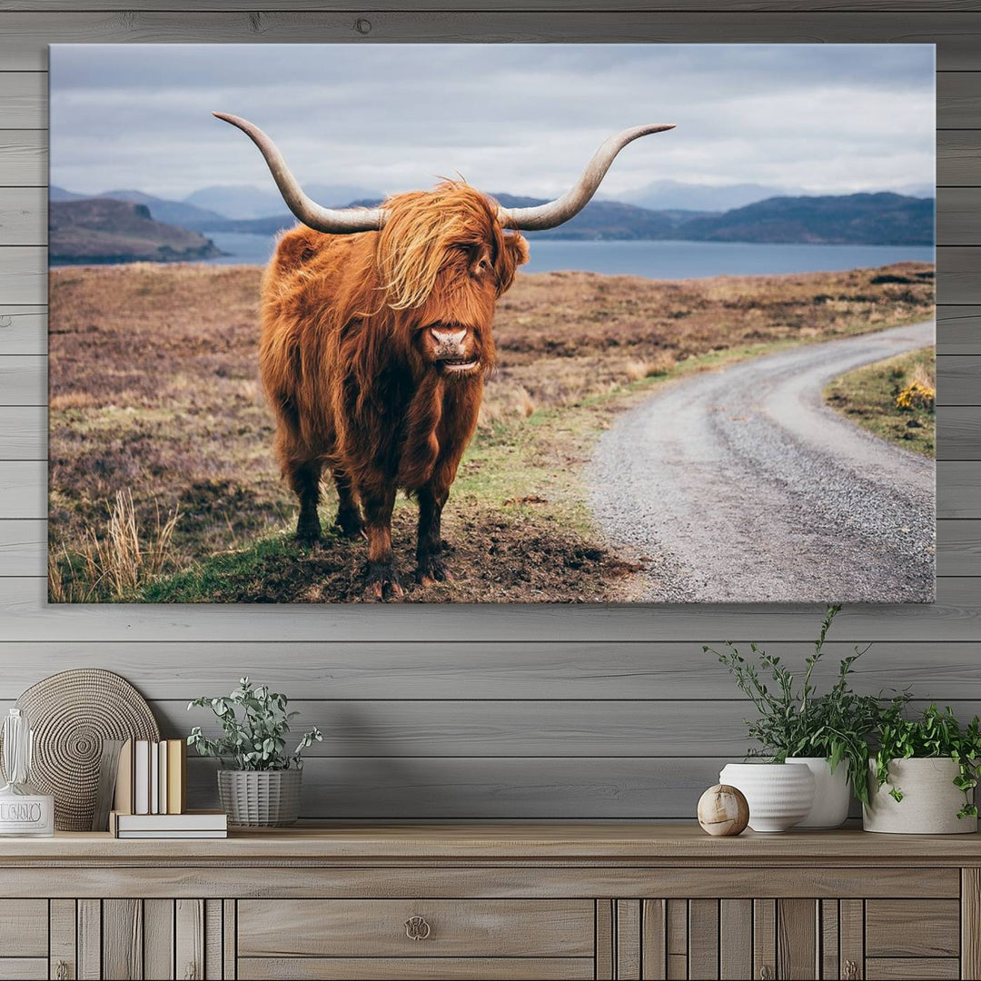 The Longhorn Highland Cow Canvas Wall Art is prominently displayed.