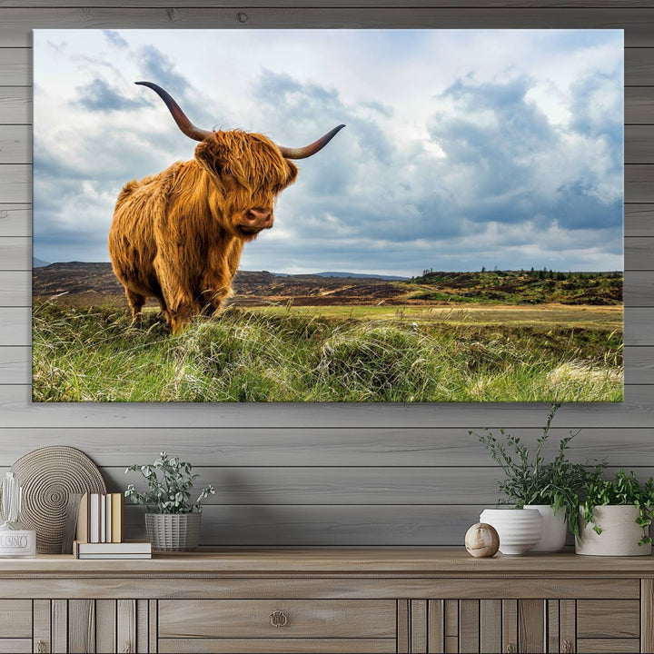 Highland Cattle Canvas Print: A minimalistic touch for any setting.