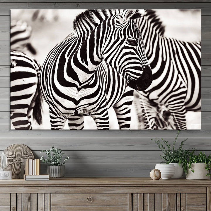 The Brilliant Zebra Photography Art Canvas Print hangs prominently on the wall.