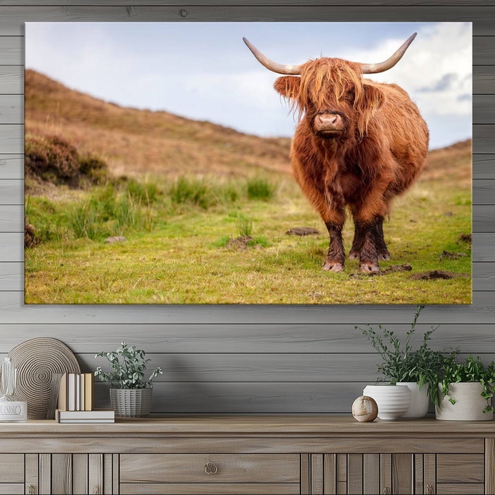 A Highland Cow Animal Canvas Wall Art hangs on the wall, adding warmth to the room.