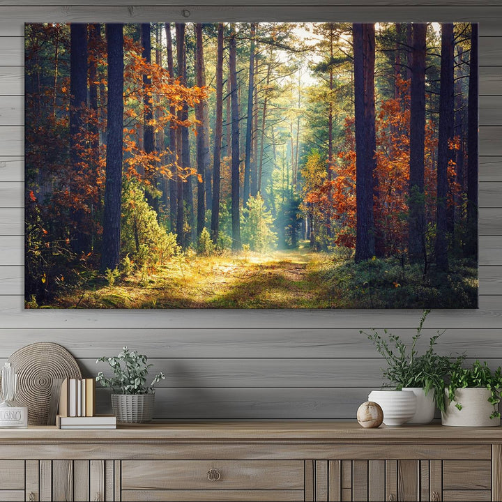 The Dark Forest canvas wall art showcases a captivating forest landscape.