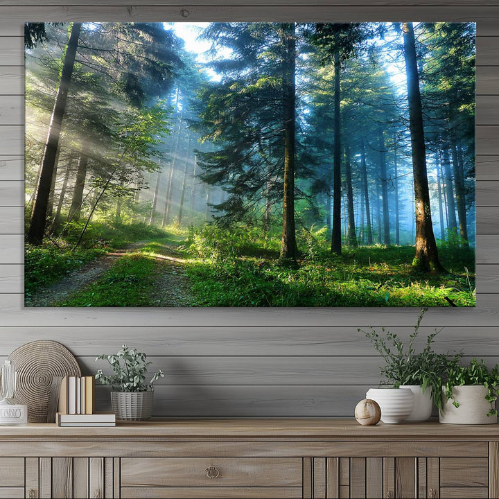 Enhancing the space is the Forest Sun Shine wall art canvas print, showcasing a serene forest scene.