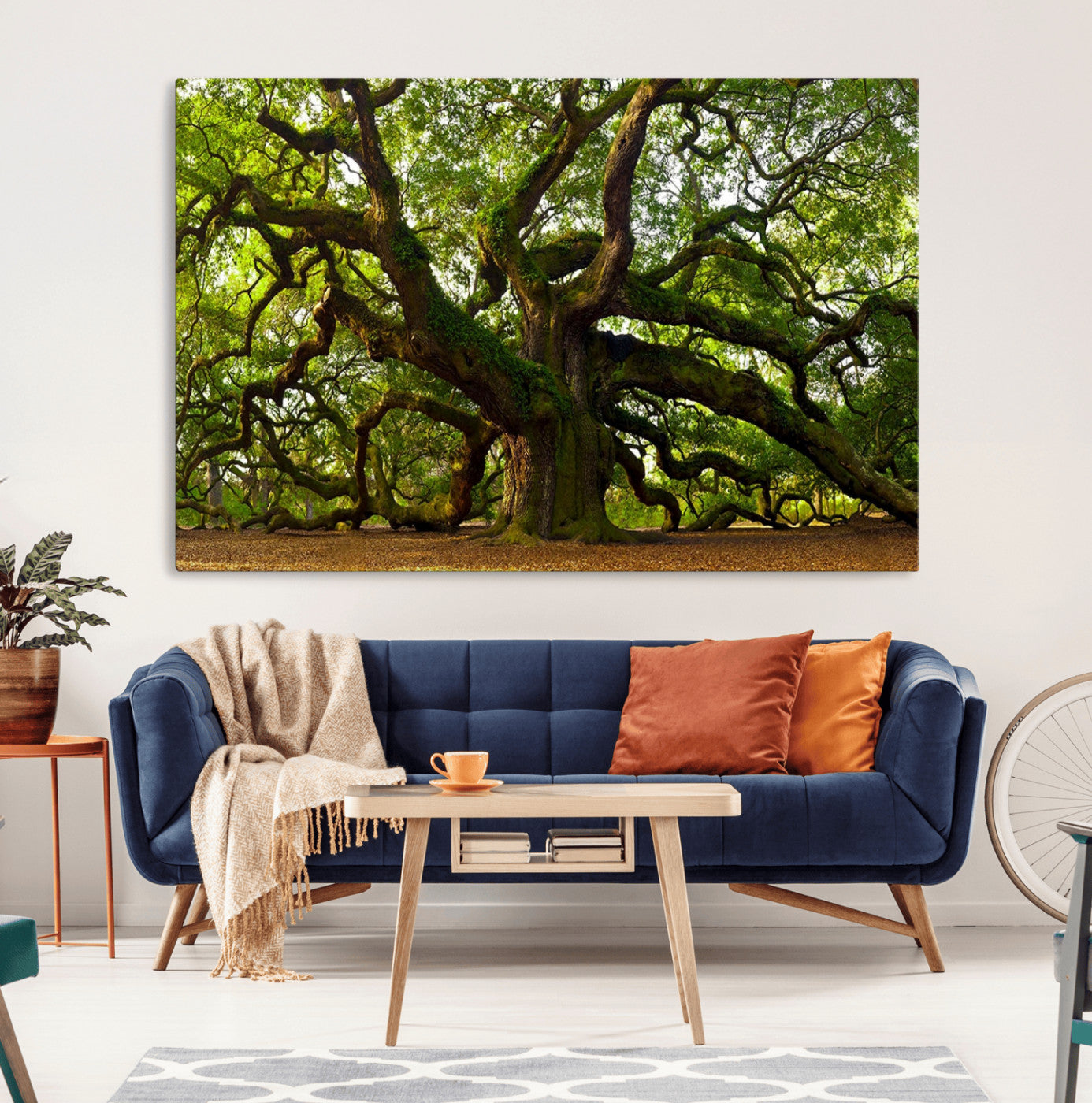 MGV-CV-36X24 - Angel Oak Tree Wall Art Canvas Print | Forest Tree Nature Photography Print on Canvas | Large