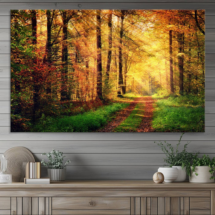 The Sunlight Through Trees Wall Art Canvas Print showcases a sunlit autumn forest and includes UV protection to ensure lasting vibrance.