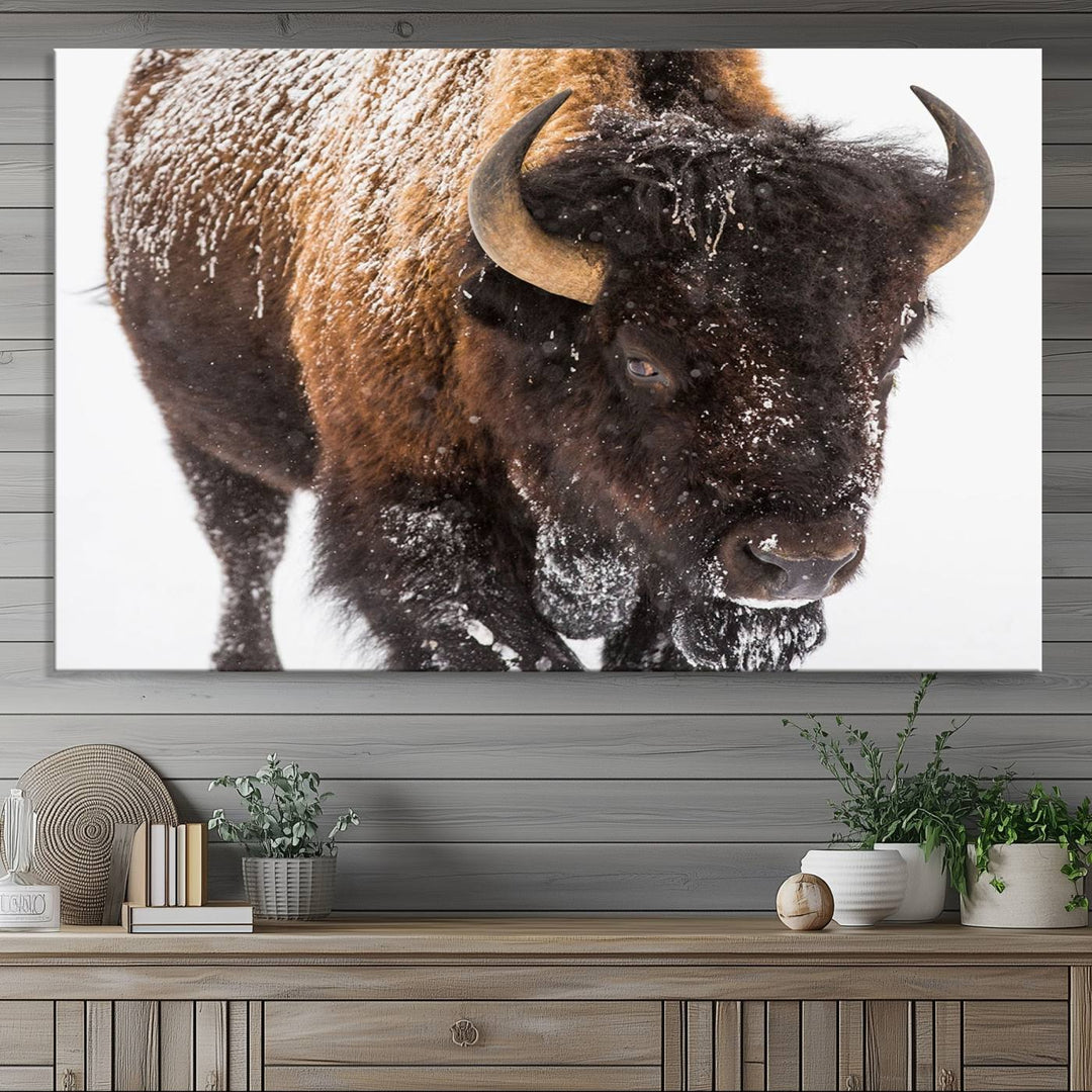 Bison Wall Art Canvas.