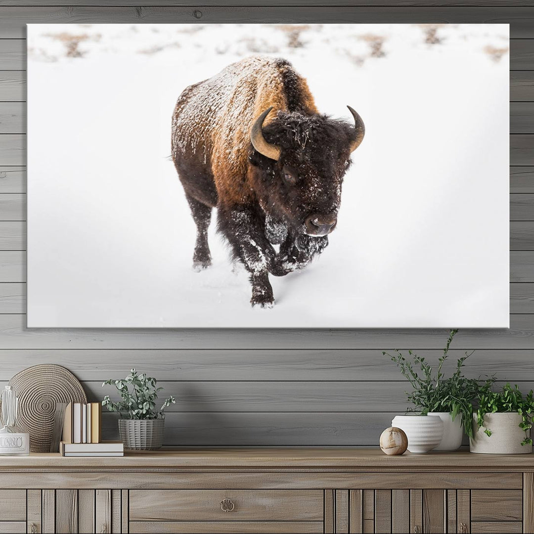 Bison Winter Wall Art Canvas Print for farmhouse decor.