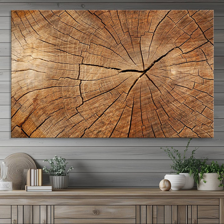 Tree Ring Canvas Art decorates a textured wall.