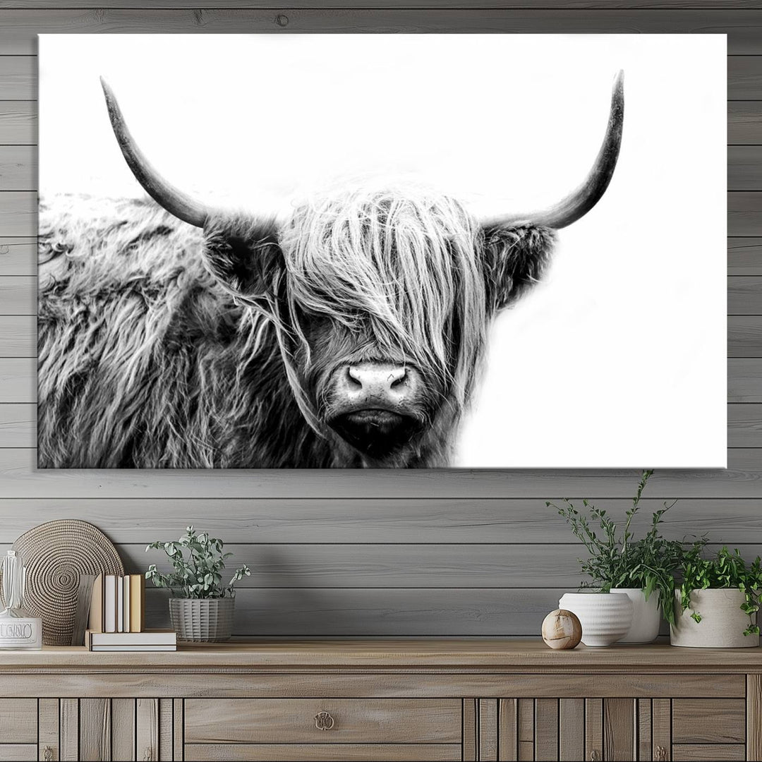 Framed Black and White Scottish Highland Cow Art Print.