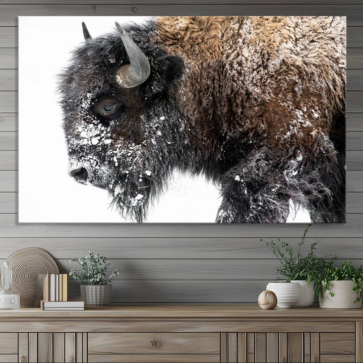 The American Bison Wall Art Print is prominently displayed on the wall.