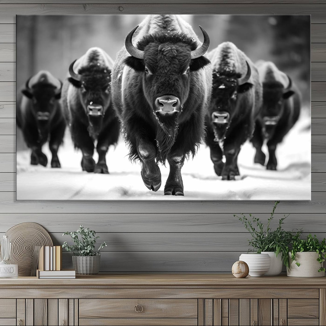 A black and white American Bison herd canvas print adorns the wall.