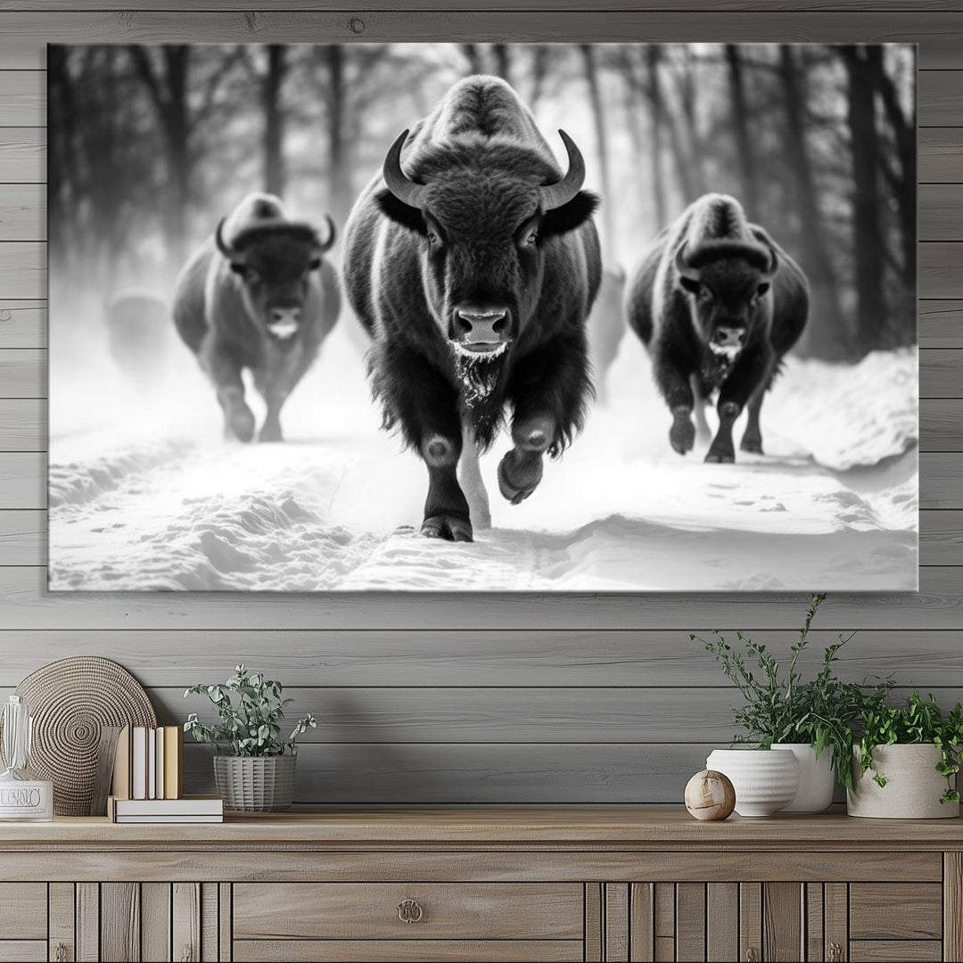 The Buffalo Wall Art Canvas Print of bison running through snow adorns the wall.