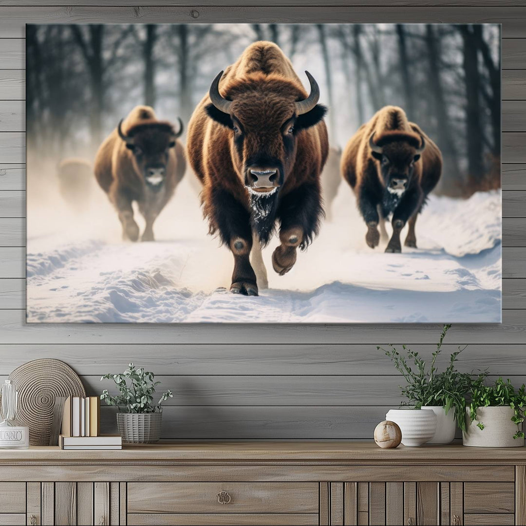 Wall art titled Cow Bighorn shows three bison running through snow in a forest.