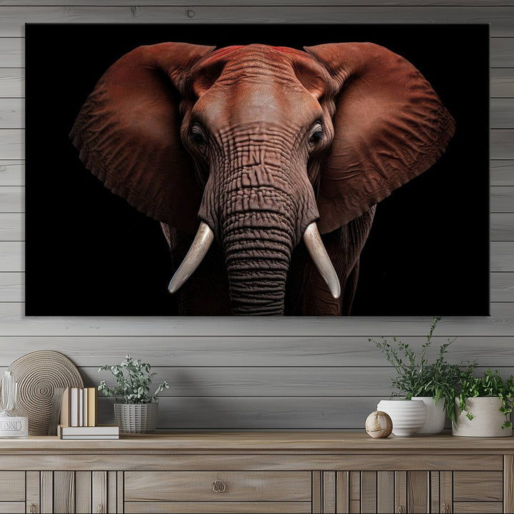 The Wild Elephant Wall Art Canvas Print is displayed prominently.