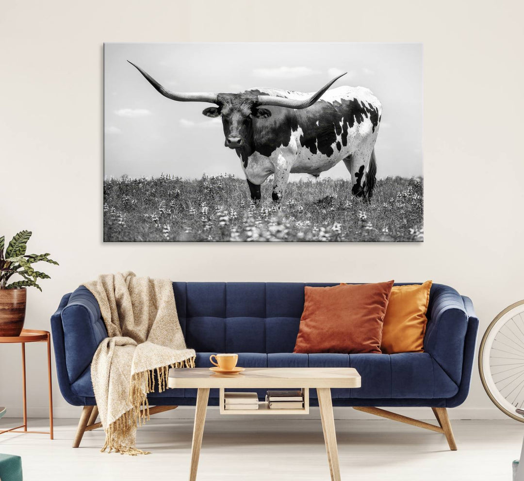 Texas Black White Highland Longhorn Cow Wall Art Canvas displayed on the wall.