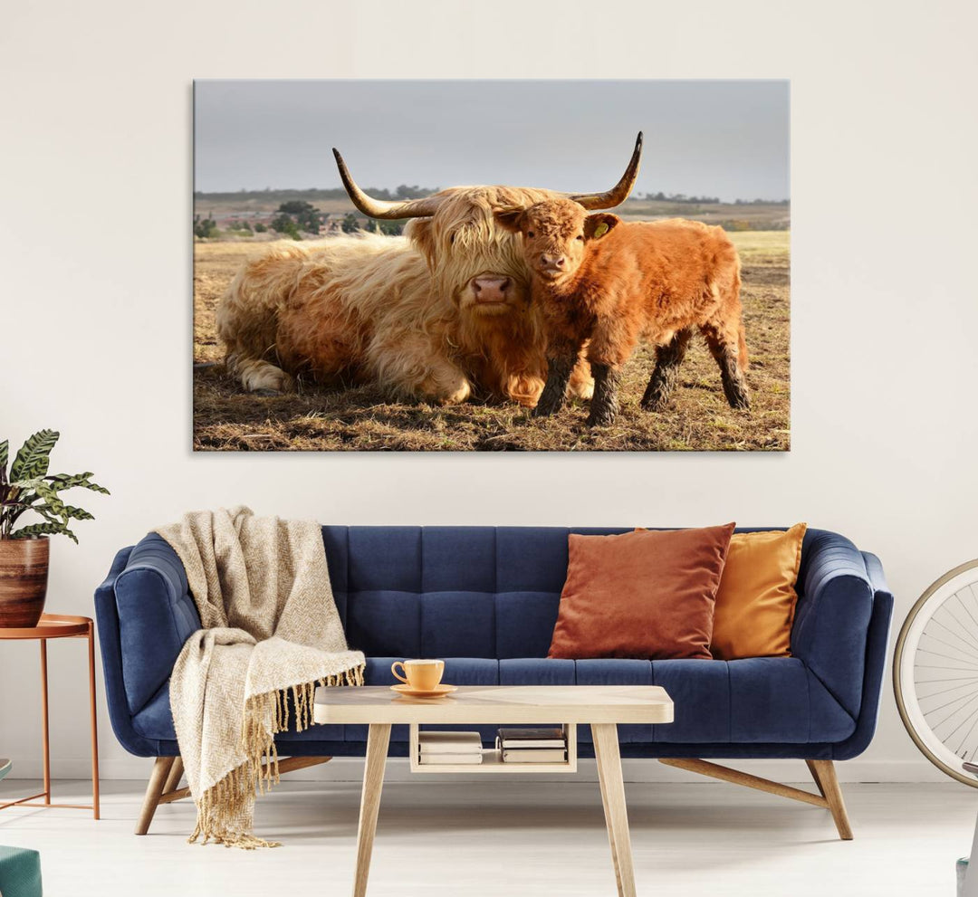 Highland Cow Canvas: a light brown cow and calf in the field, ideal farmhouse decor.