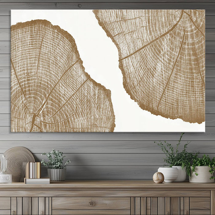 The rustic wall art features two large tree rings, beautifully framed and displayed to create a nature-inspired décor.