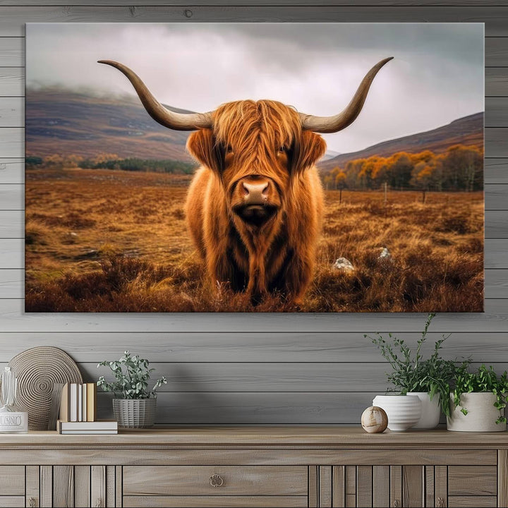 Highland Cow Longhorn Canvas Print, framed, on a wooden wall.