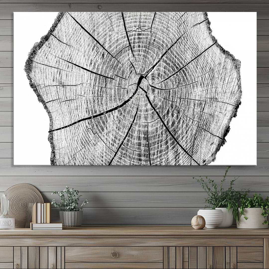 Black and white tree ring art print.