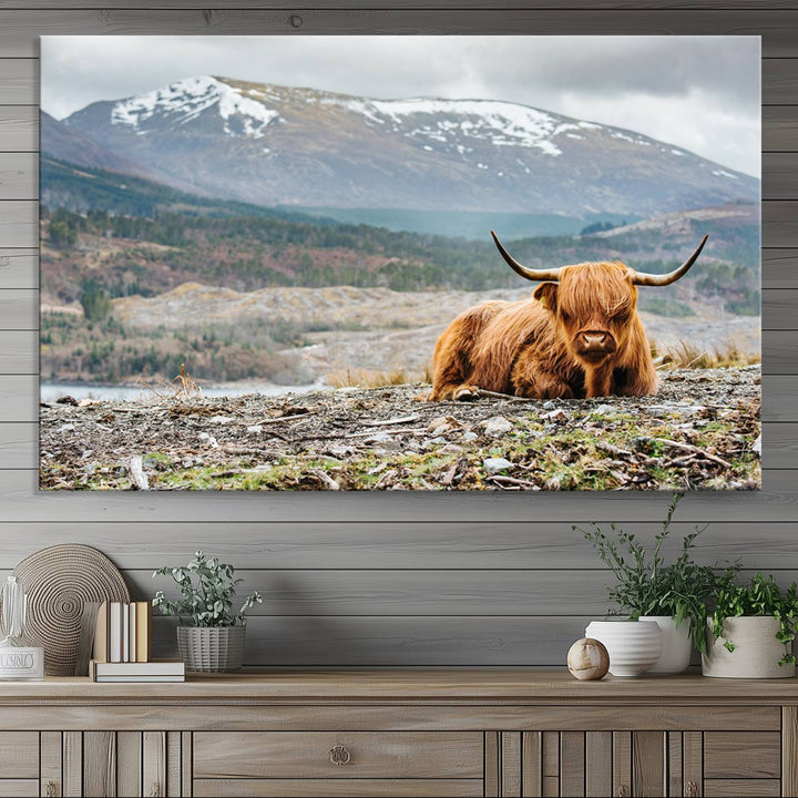 Highland Cow Horn Farm Wall Art Canvas Print is displayed against a wooden wall featuring a mountainous backdrop.