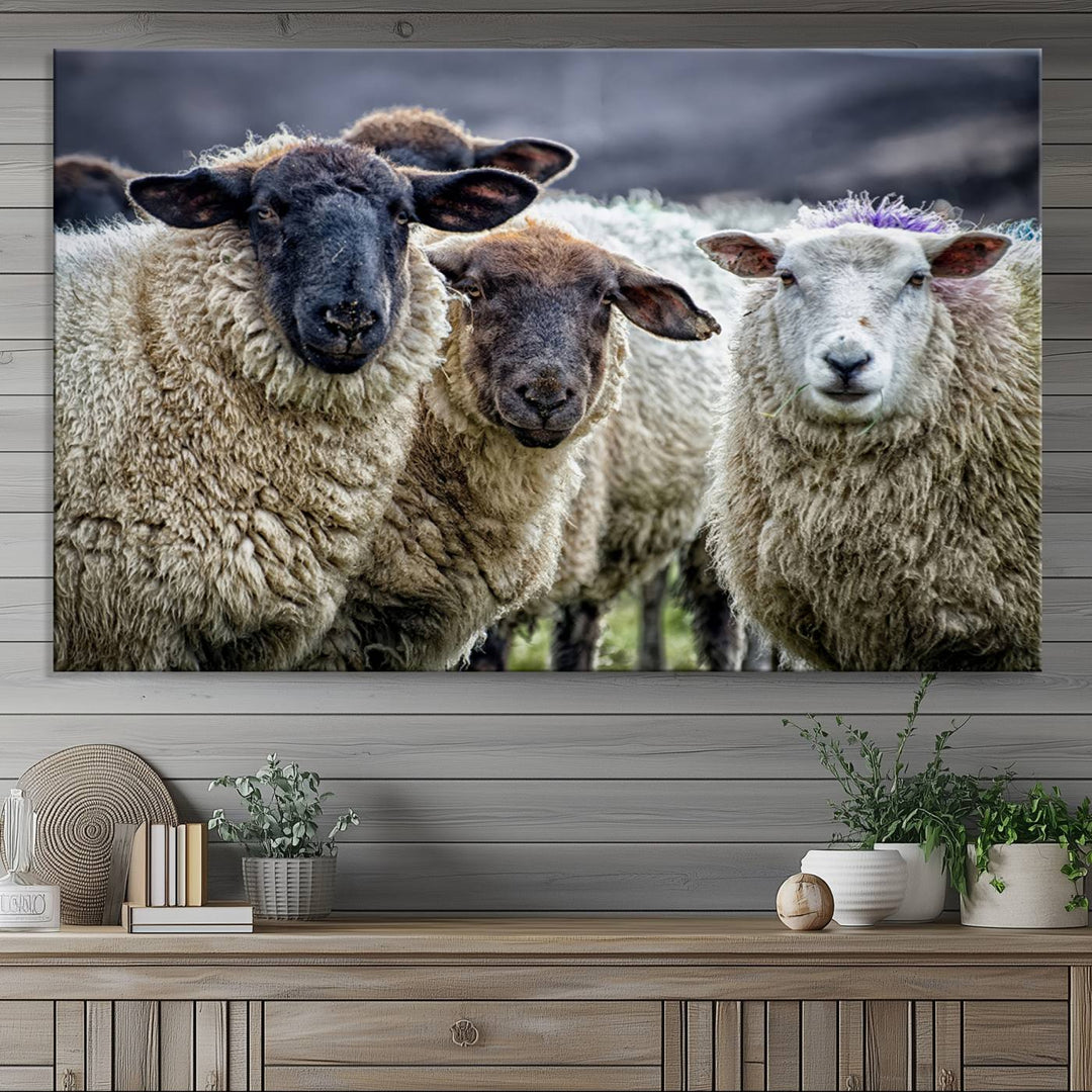 The Charming Sheep Portrait Wall Art hangs on a wooden wall.